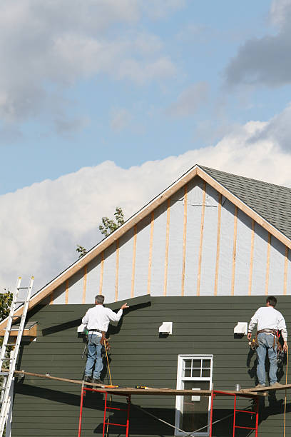 Best Stone Veneer Siding  in Meadowbrook, CA